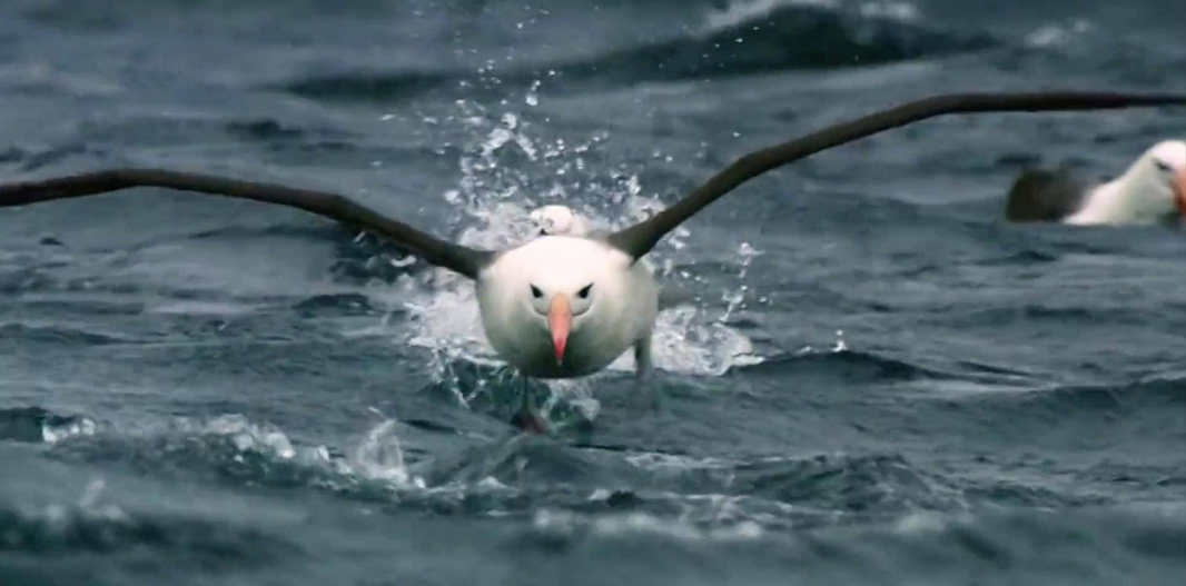 wechat_2025-11-07_165422_293.png wechat_2025-11-07_165422_293.png