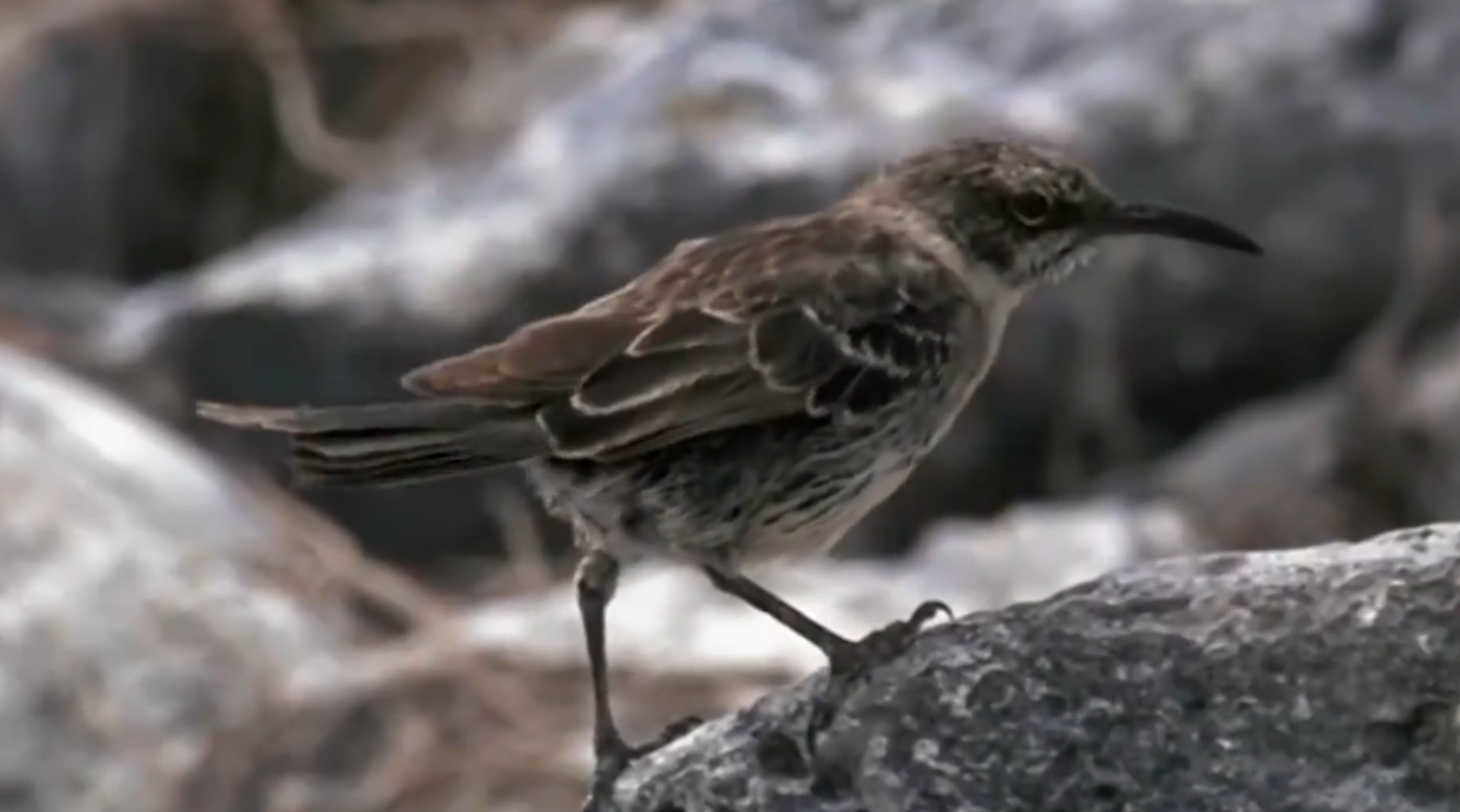 wechat_2025-11-07_171520_242.png wechat_2025-11-07_171520_242.png