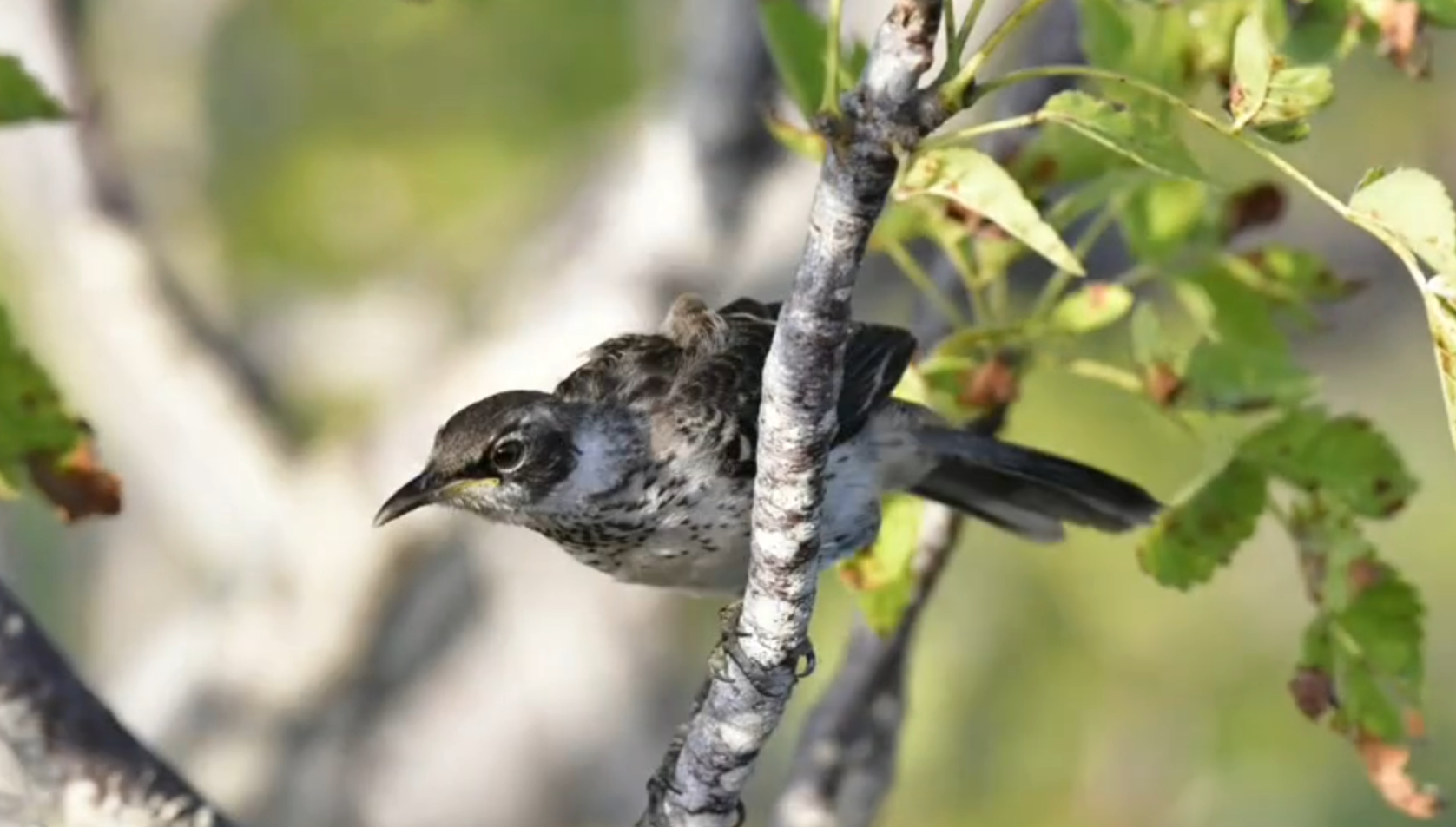 wechat_2025-11-07_171707_910.png wechat_2025-11-07_171707_910.png