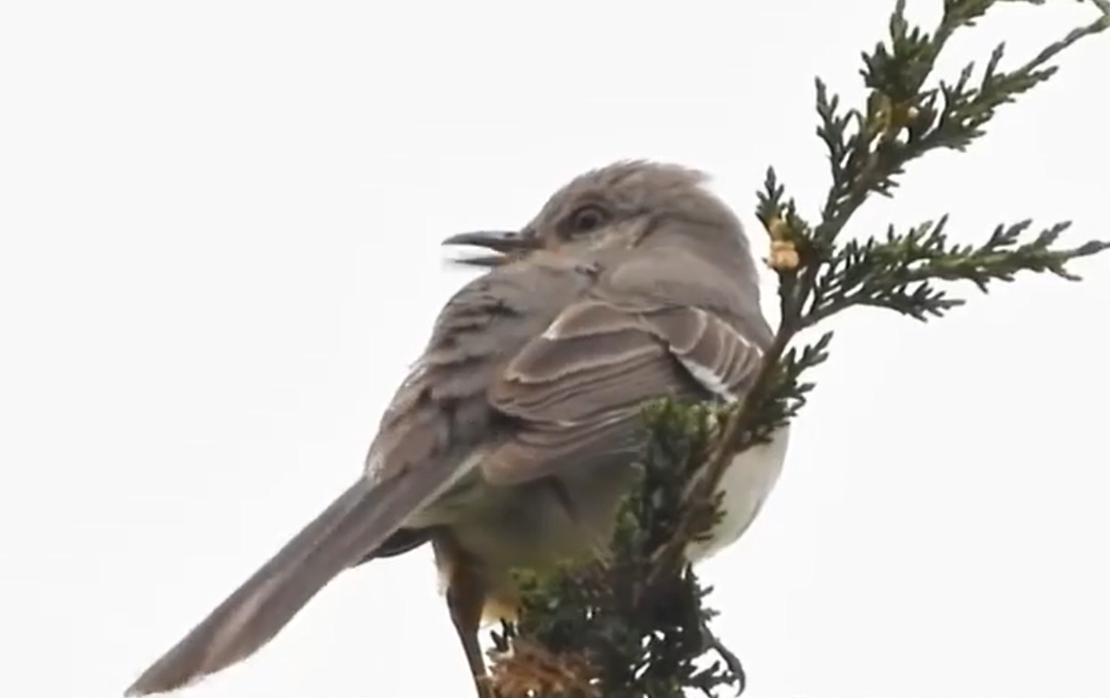 wechat_2025-11-07_171231_376.png wechat_2025-11-07_171231_376.png