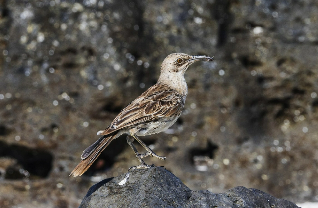 wechat_2025-11-07_171015_722.png wechat_2025-11-07_171015_722.png