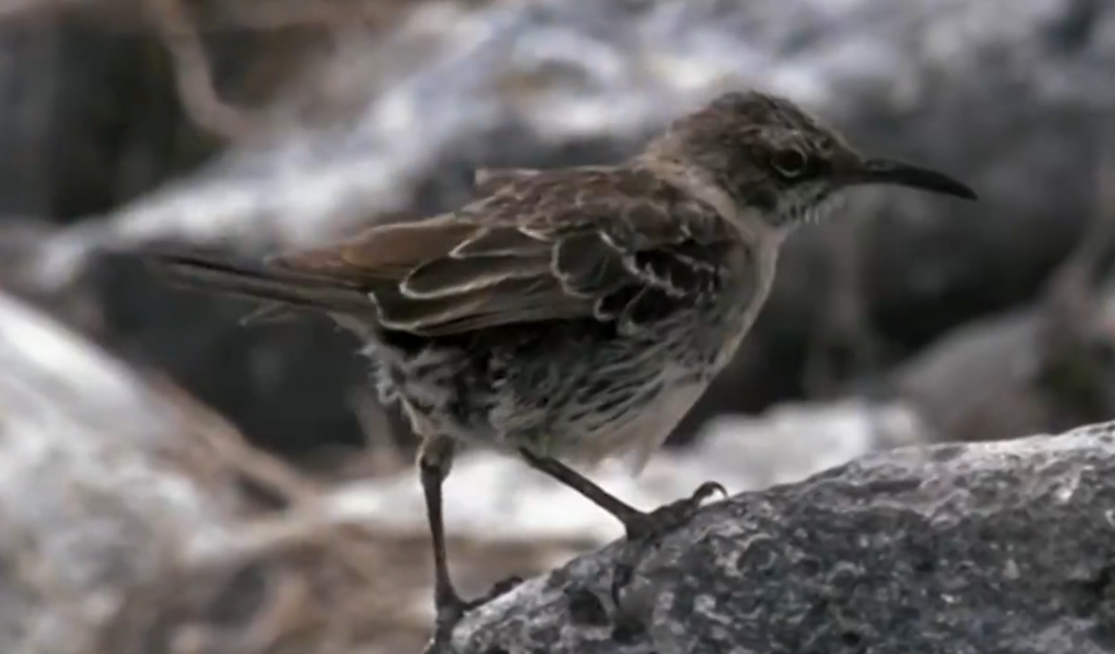 wechat_2025-11-07_171404_074.png wechat_2025-11-07_171404_074.png