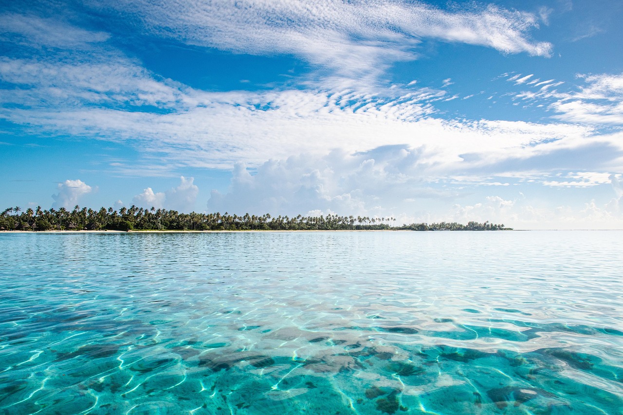 moorea-7603943_1280.jpg moorea-7603943_1280.jpg