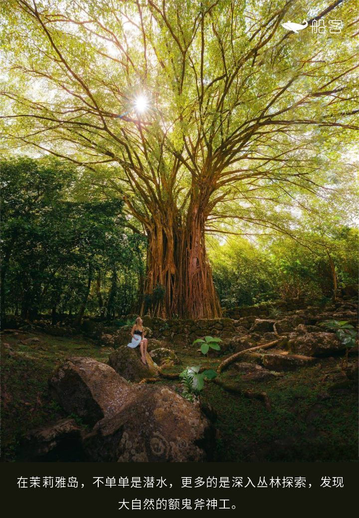 FqXT0uR3miMa88Jd9YDBsz1Evn33.png FqXT0uR3miMa88Jd9YDBsz1Evn33.png