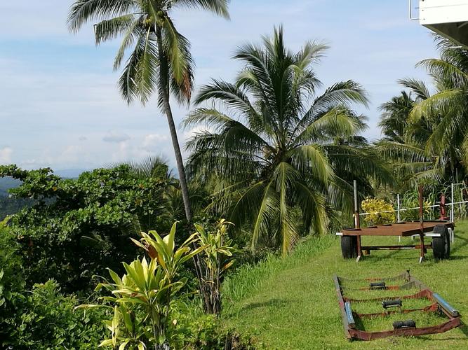 6538e9cbf5a686a685a35d3467510b57.jpeg 6538e9cbf5a686a685a35d3467510b57.jpeg