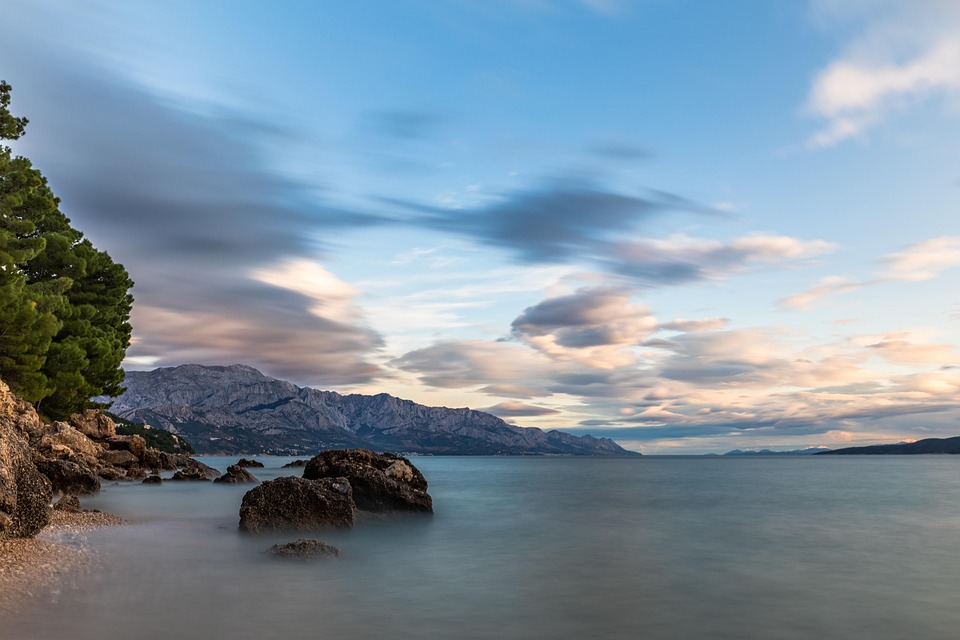 medici-4745455_960_720.jpg medici-4745455_960_720.jpg