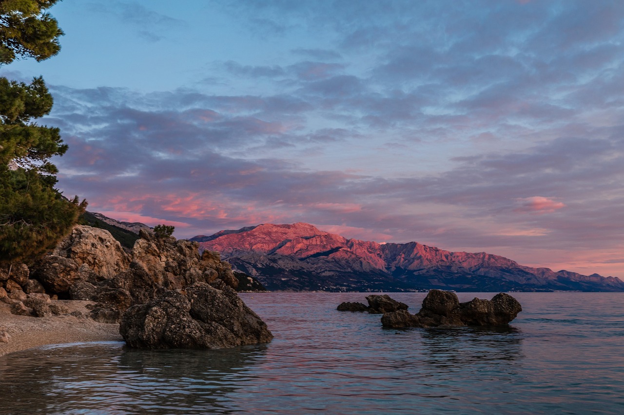 medici-4745462_1280.jpg medici-4745462_1280.jpg