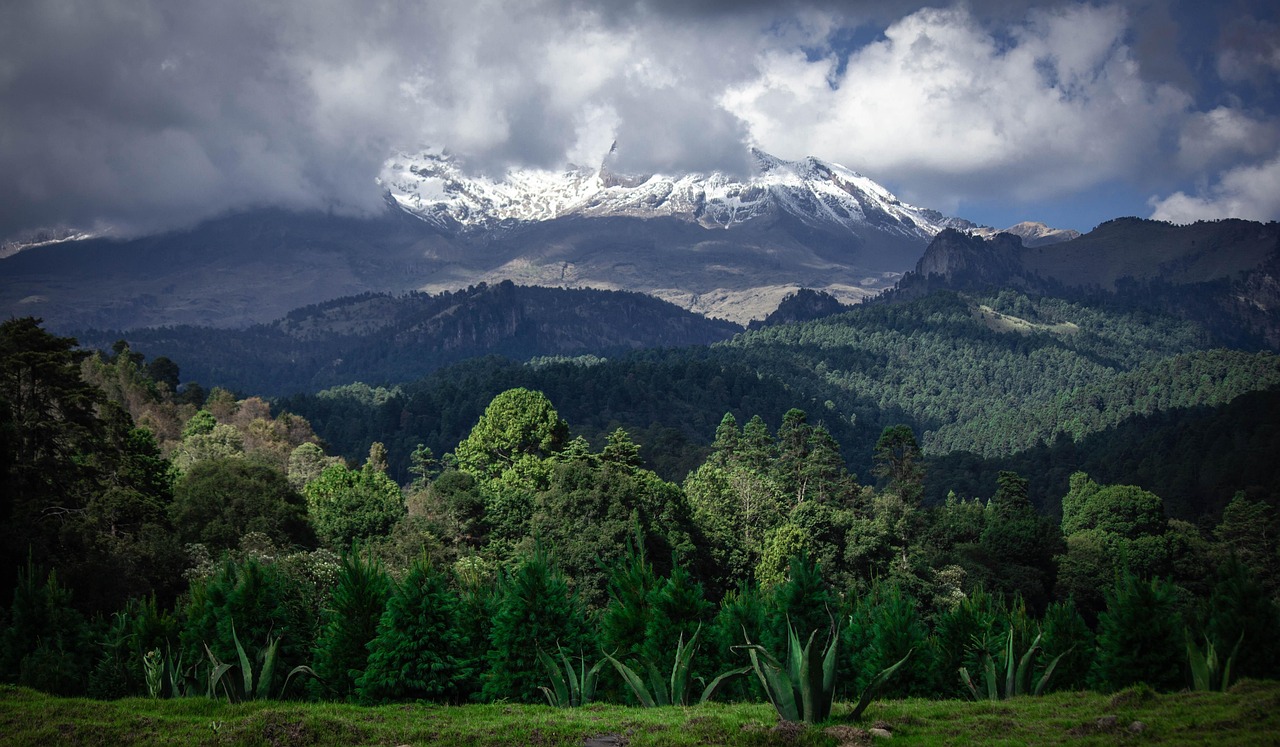 emerald-park-7363714_1280.jpg emerald-park-7363714_1280.jpg