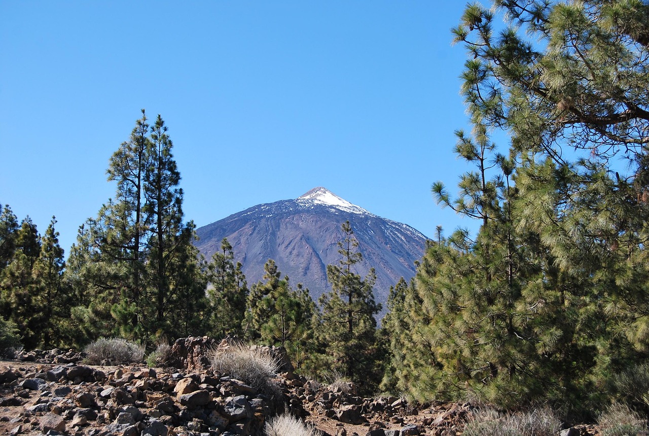 canary-islands-1917953_1280.jpg canary-islands-1917953_1280.jpg
