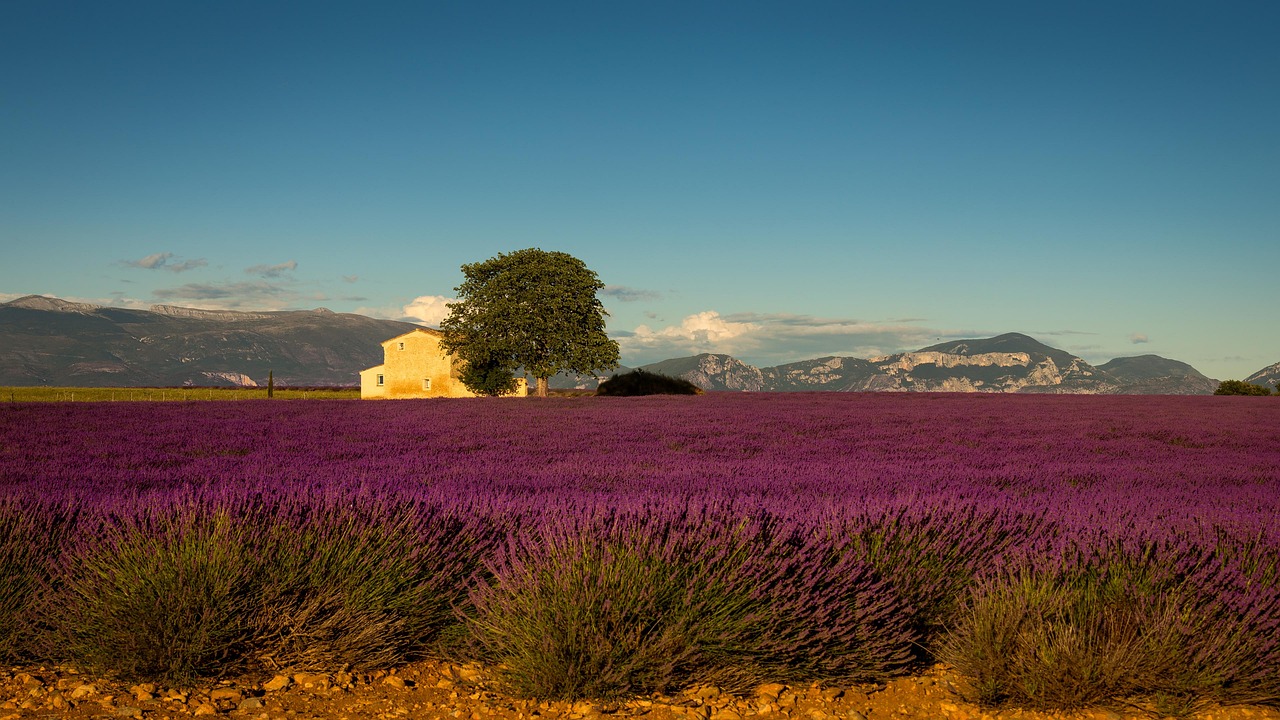 provence-4798070_1280.jpg