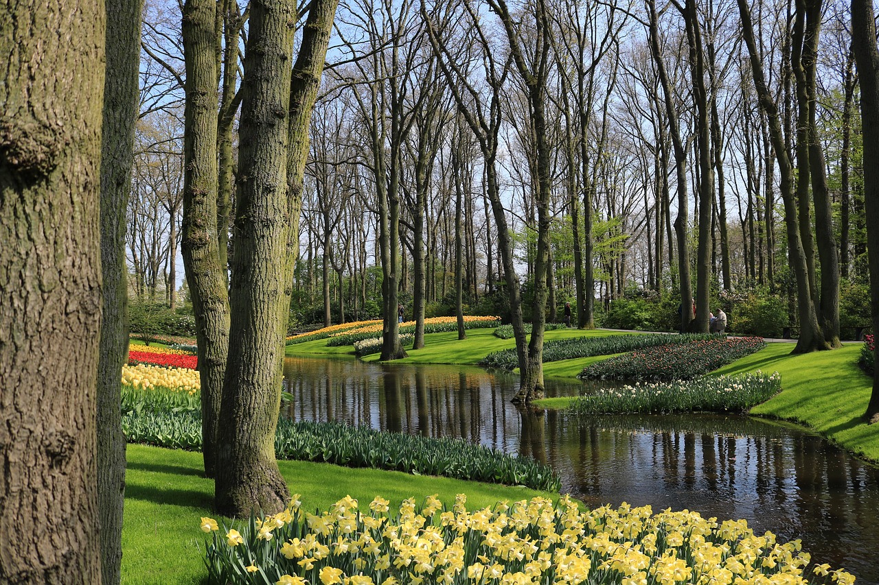 keukenhof-2270575_1280.jpg