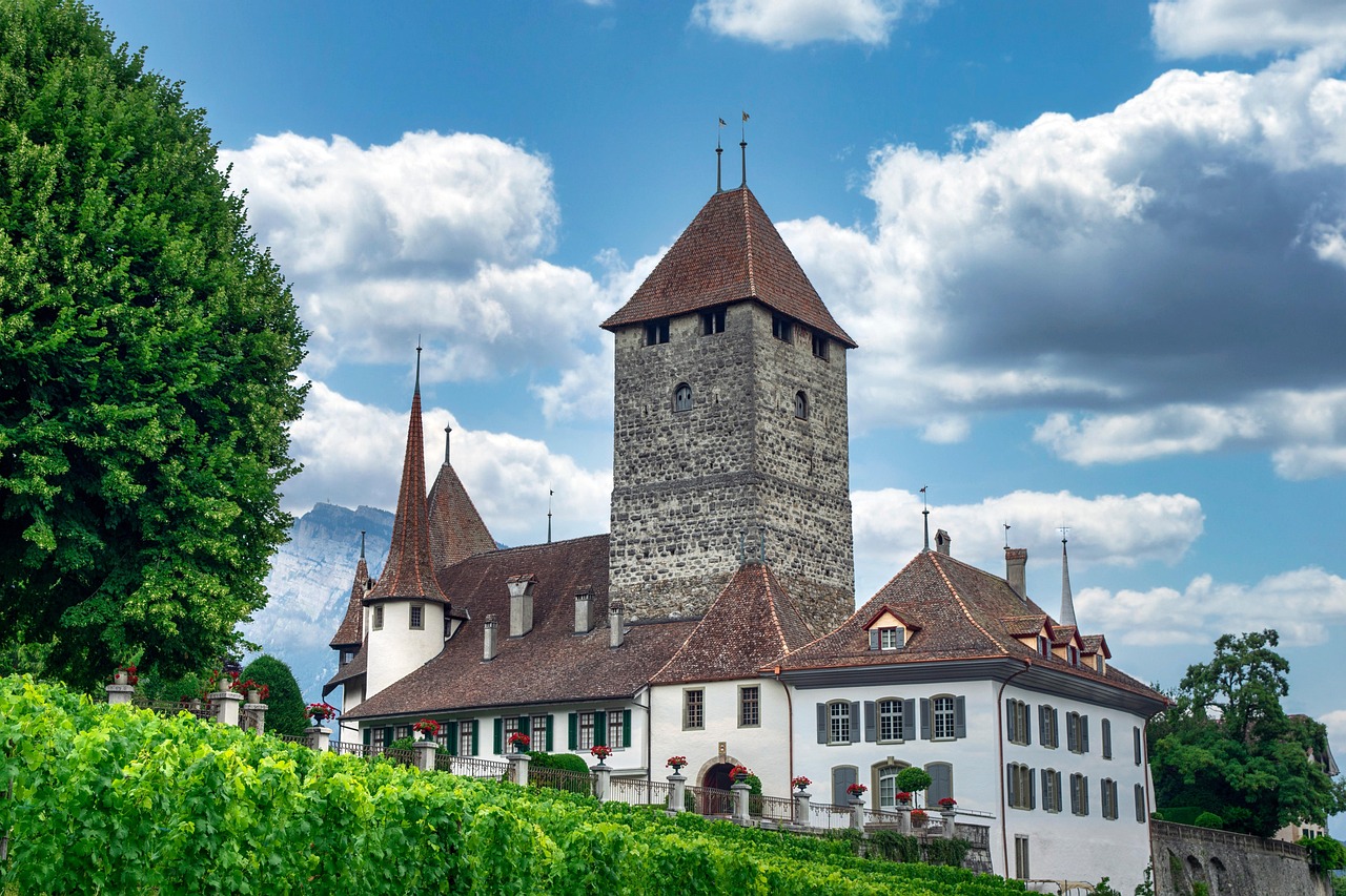 spiez-castle-7294031_1280.jpg