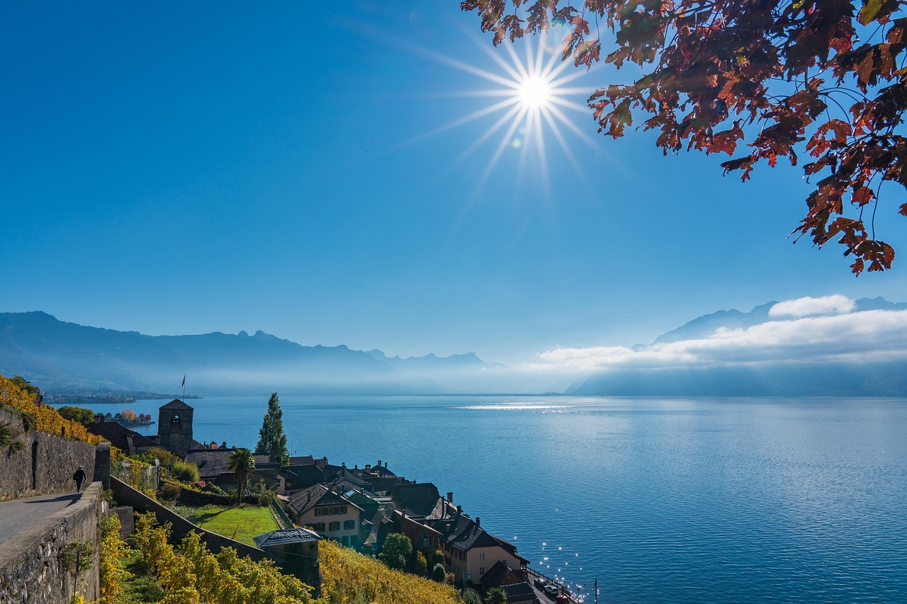 lavaux-6771369_1280.jpg