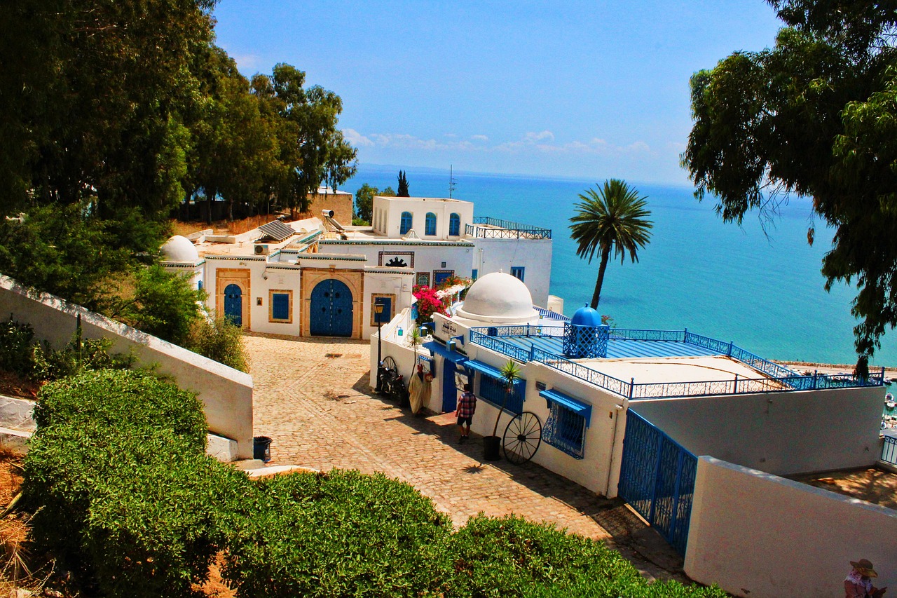 tunis-3885667_1280.jpg tunis-3885667_1280.jpg