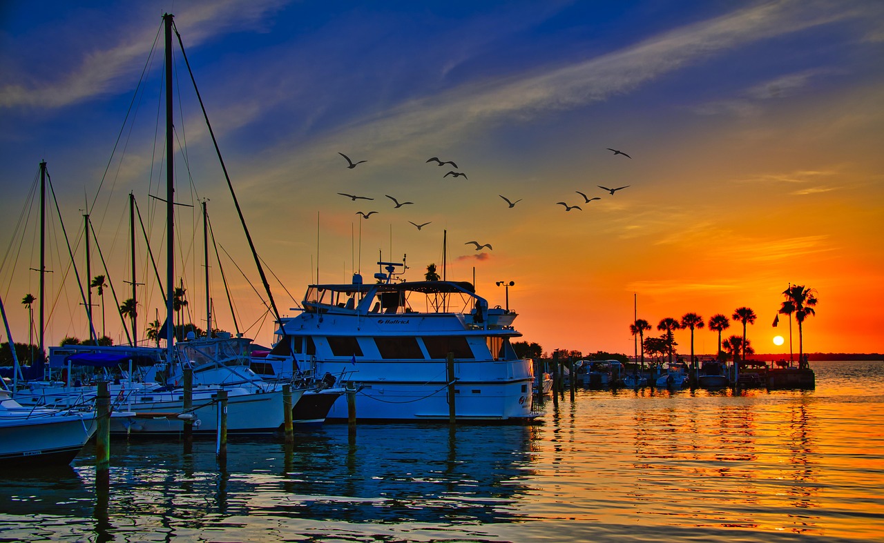 达尼丁角：南半球的海角诗篇