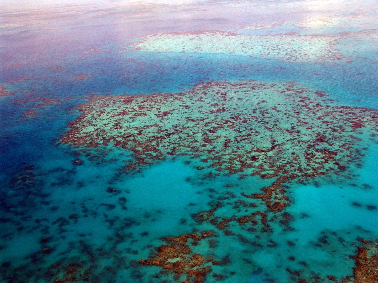great-barrier-reef-261720_1280.jpg