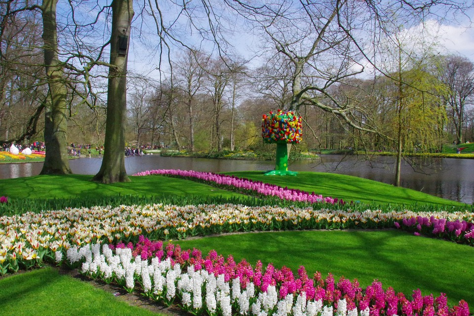 keukenhof-5136576_960_720.jpg keukenhof-5136576_960_720.jpg