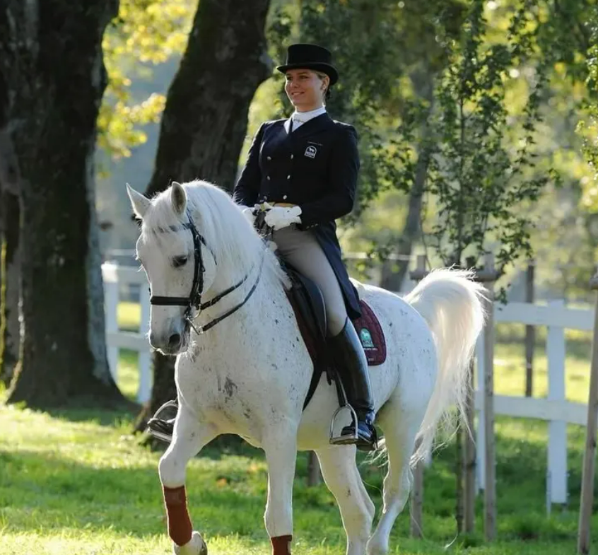 利比察：四百载的马术传奇与文化瑰宝