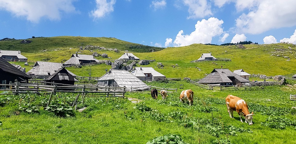 velika-planina-4375783_960_720.jpg velika-planina-4375783_960_720.jpg
