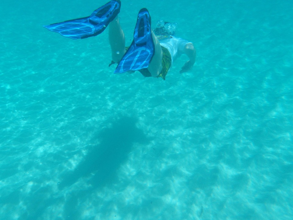 snorkel-1014897_960_720.jpg