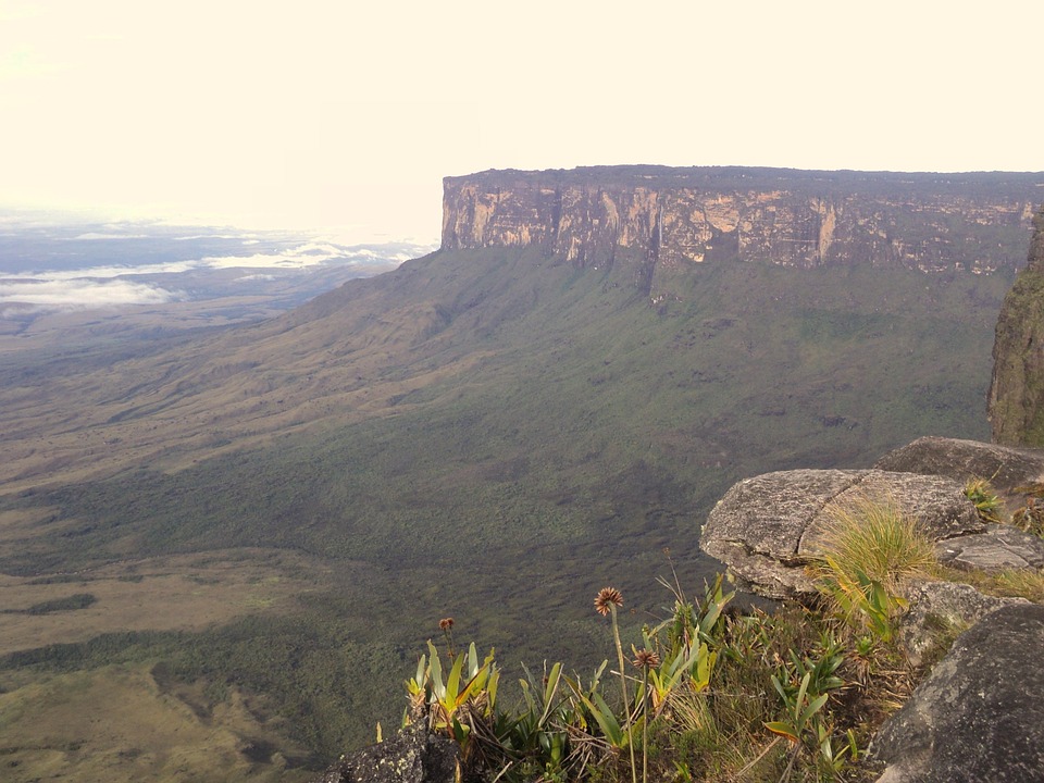 roraima-716332_960_720.jpg