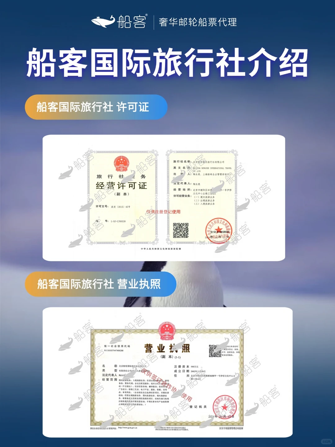 旅行社业务经营许可证原件截图