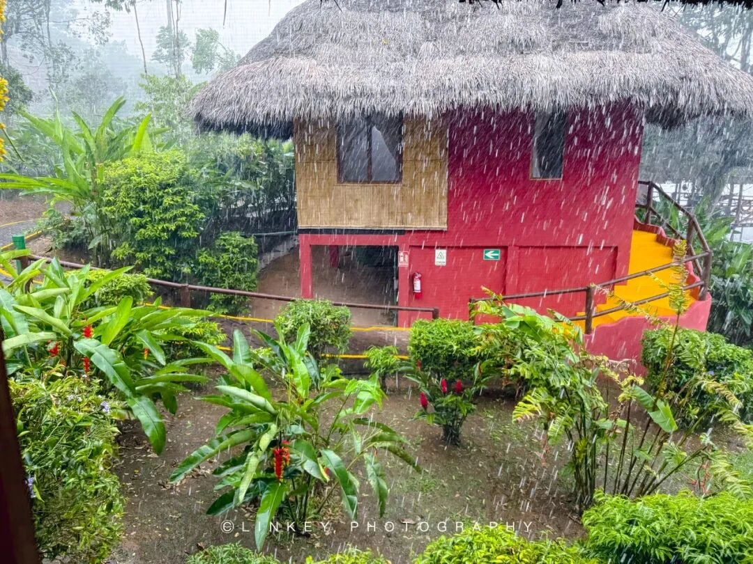 亚马逊雨林住宿旅行影像 50