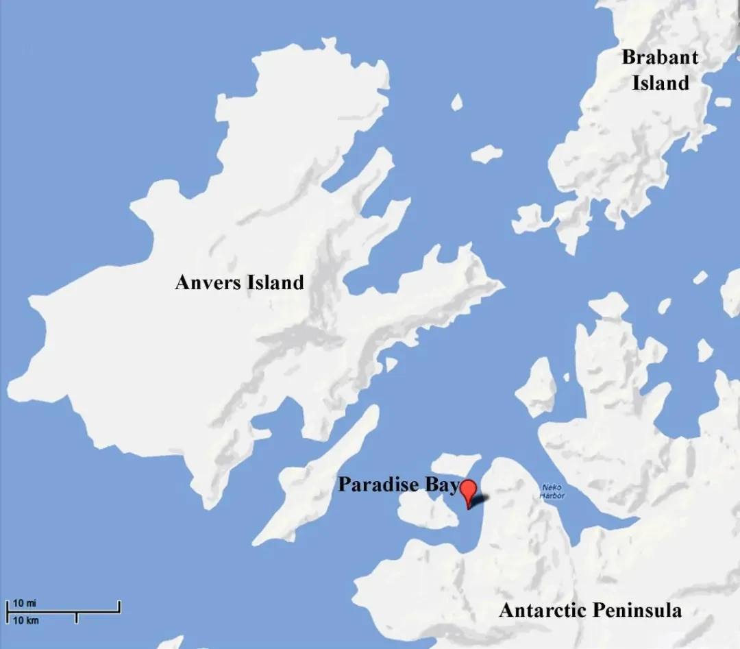 天堂湾 Paradise Bay原文配图