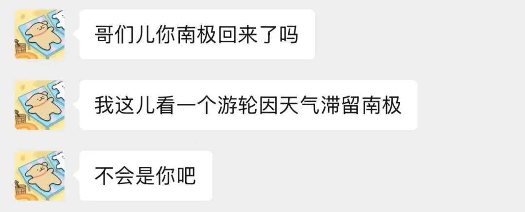 文章开篇问候截图