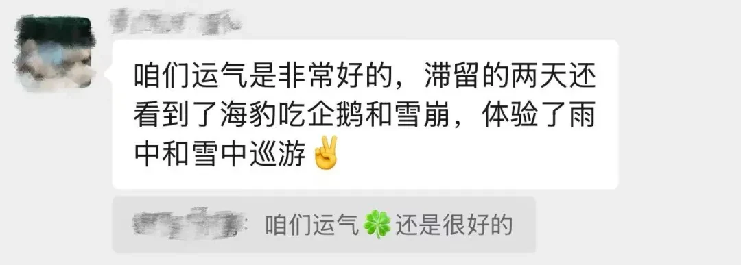 巡游后的原文反馈截图