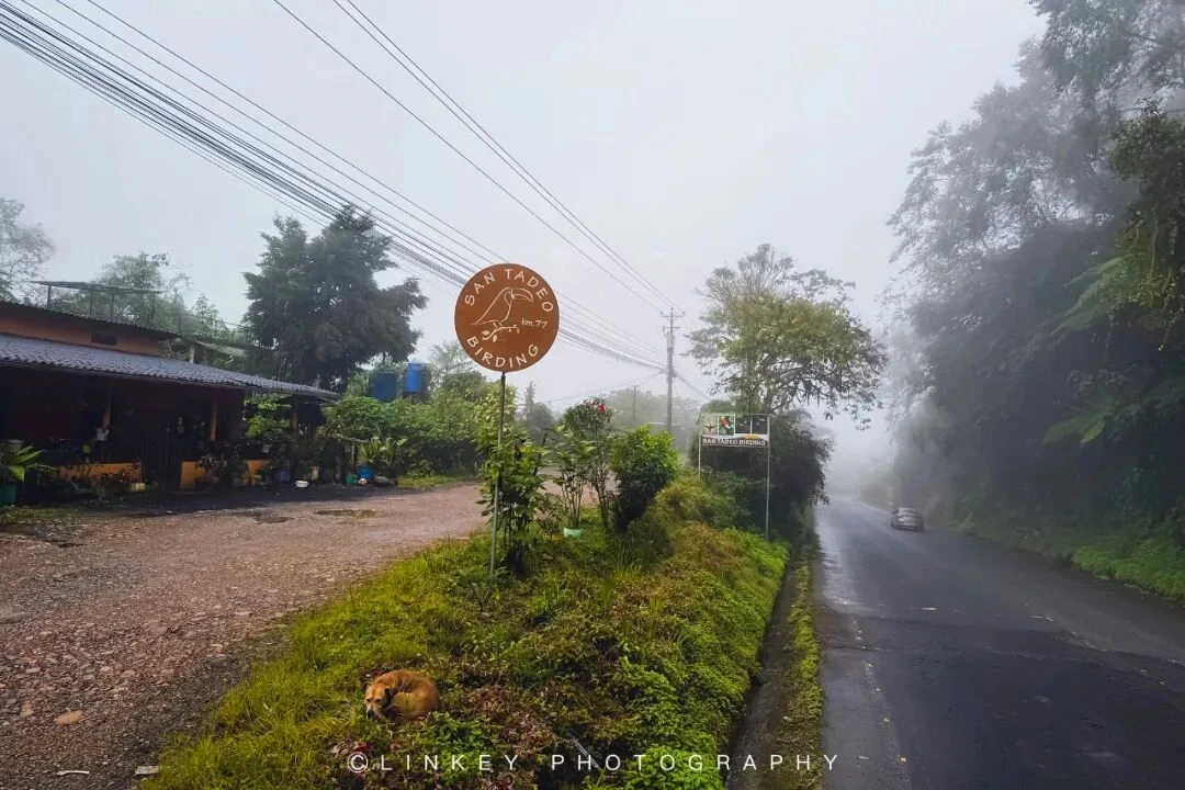 厄瓜多尔云雾森林旅行影像 2