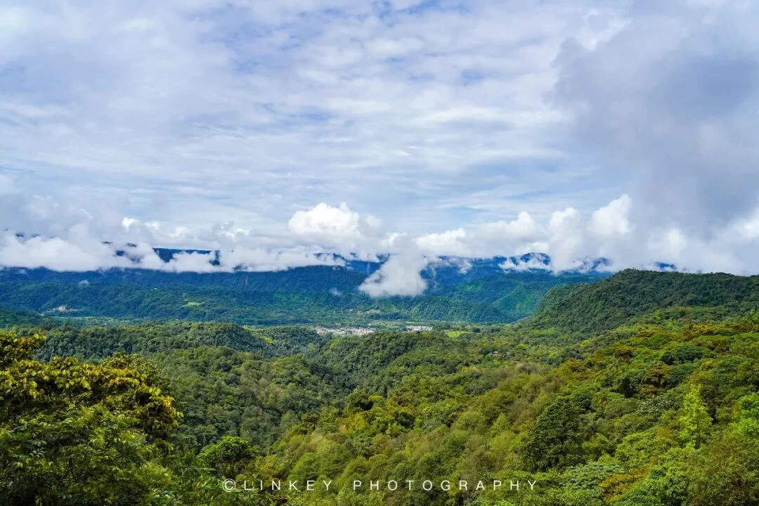 厄瓜多尔云雾森林旅行影像 8