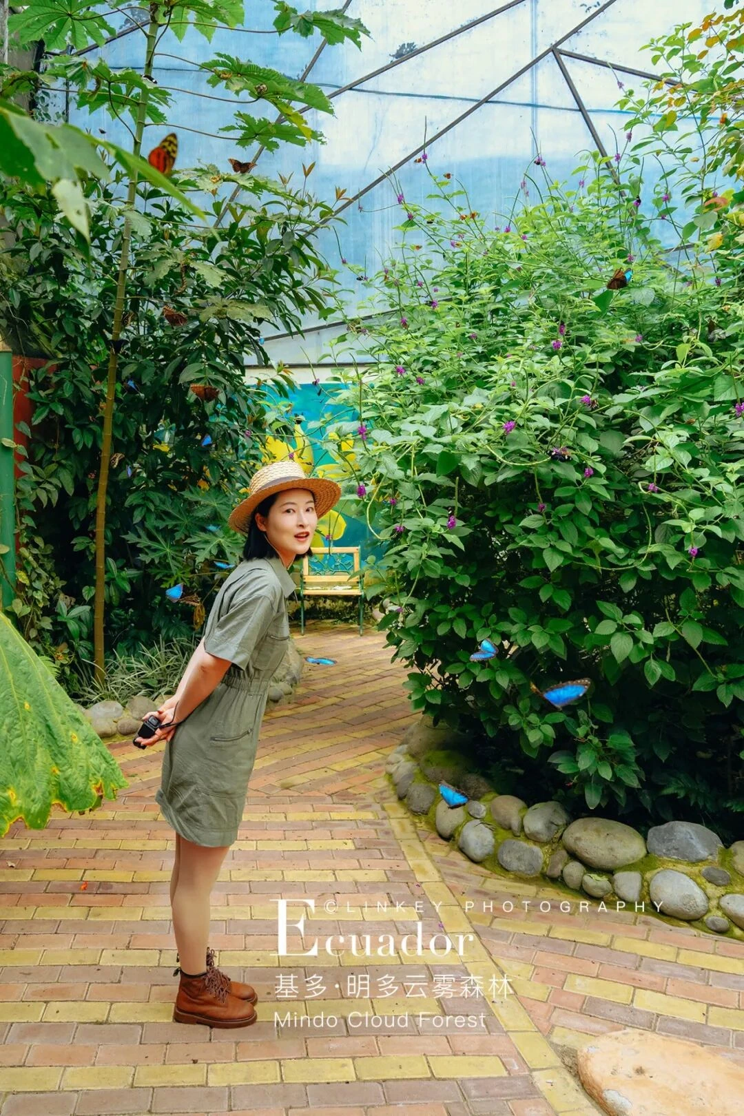 厄瓜多尔云雾森林旅行影像 15