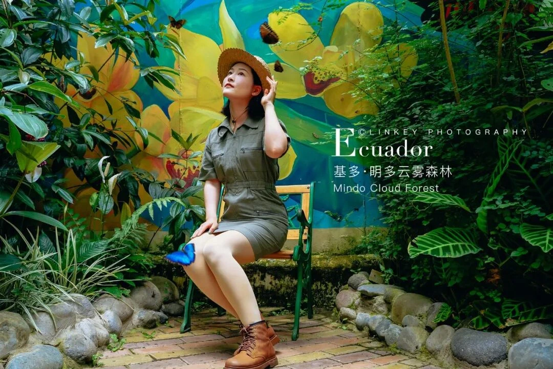 厄瓜多尔云雾森林旅行影像 21