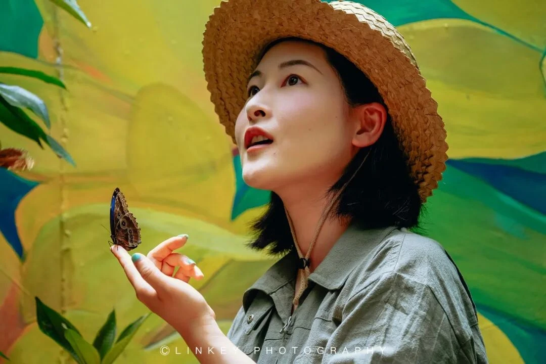 厄瓜多尔云雾森林旅行影像 23