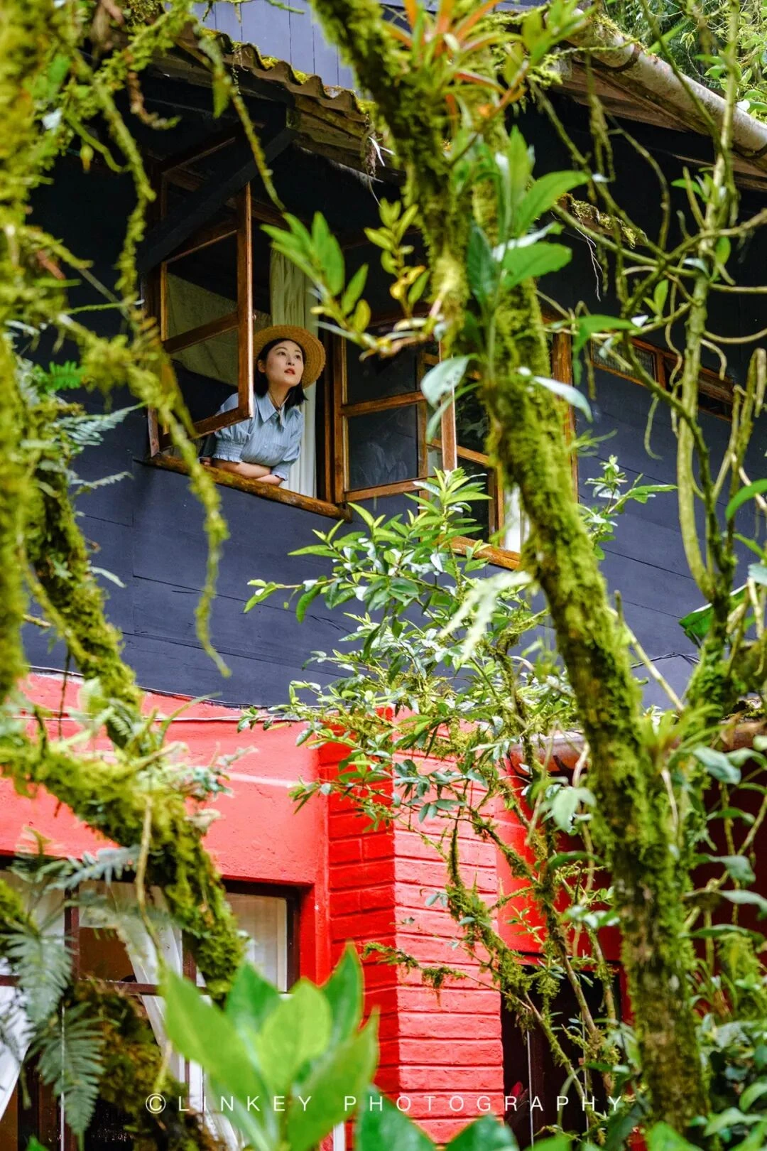 厄瓜多尔云雾森林旅行影像 26