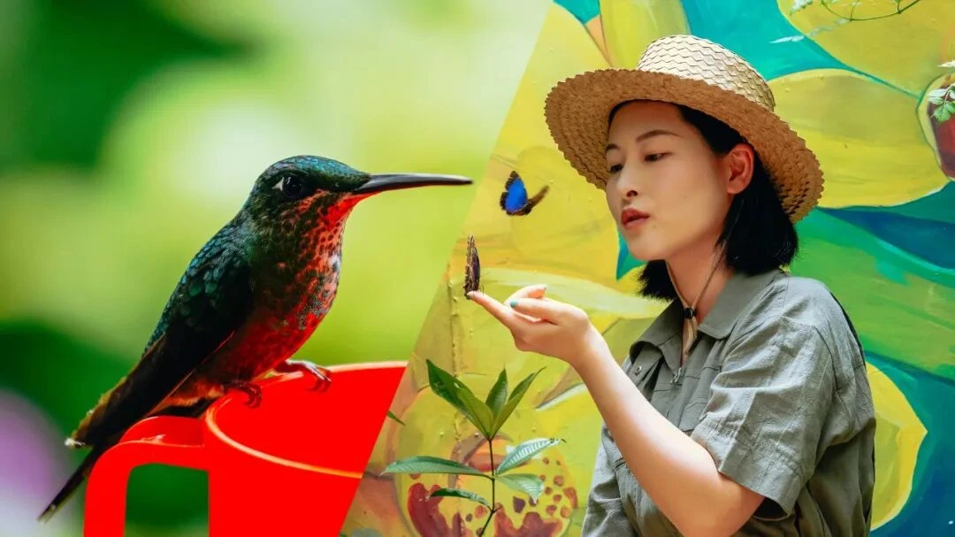 5、云雾森林，邂逅一场“招蜂引蝶”的奇幻之旅