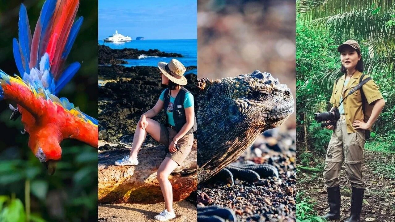 厄瓜多尔20天旅游视频封面