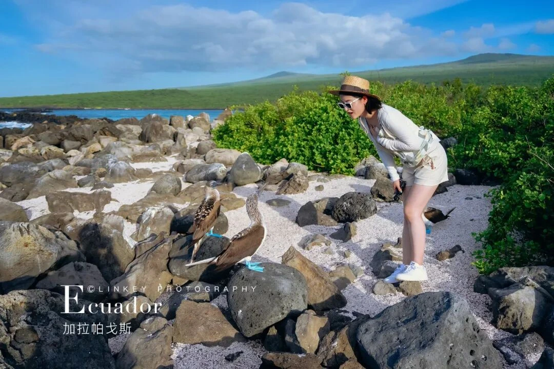 加拉帕戈斯全览旅行影像 3
