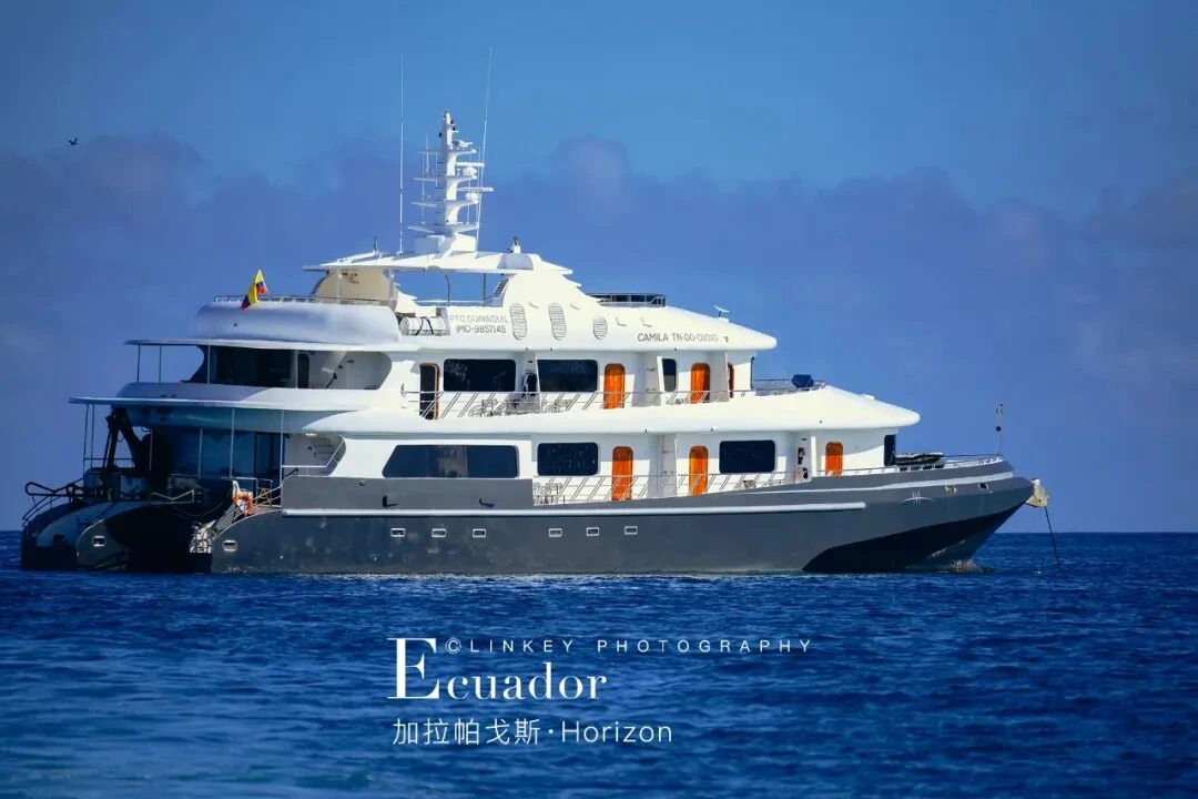 加拉帕戈斯全览旅行影像 8