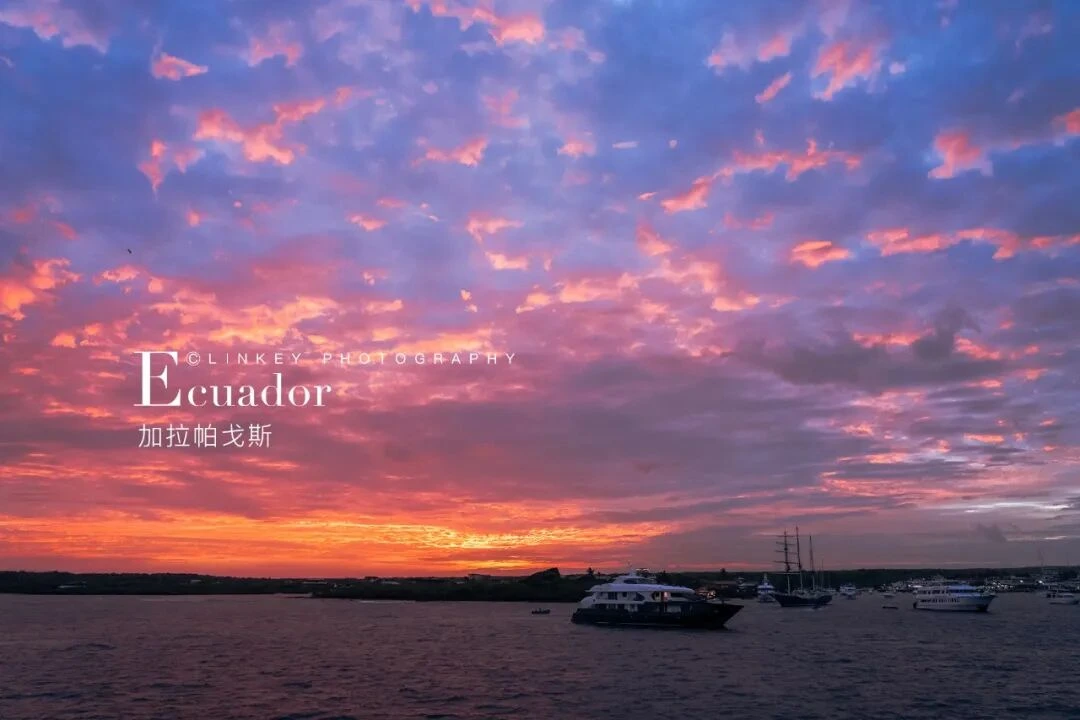 加拉帕戈斯全览旅行影像 13