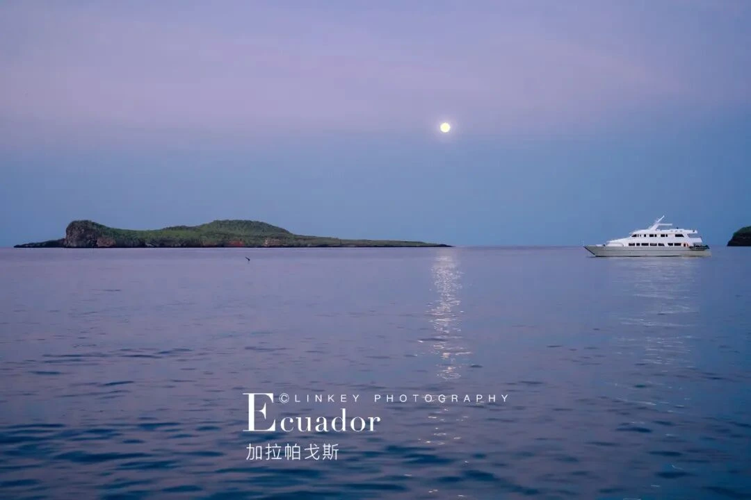 加拉帕戈斯全览旅行影像 40