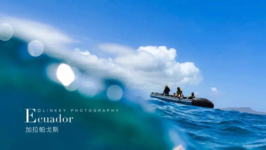 加拉帕戈斯浮潜旅行影像 1