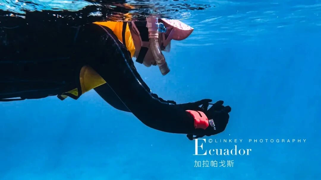 加拉帕戈斯浮潜旅行影像 7