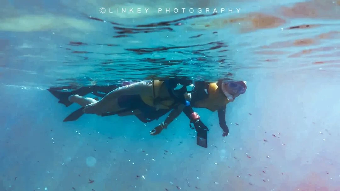 加拉帕戈斯浮潜旅行影像 14