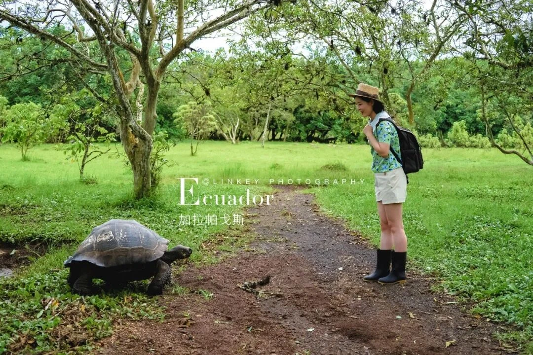 加拉帕戈斯旅行影像 10