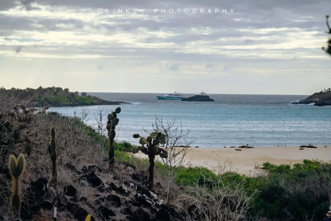 加拉帕戈斯旅行影像 104