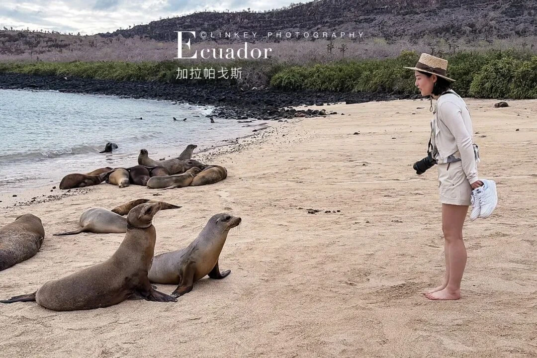 加拉帕戈斯旅行影像 106