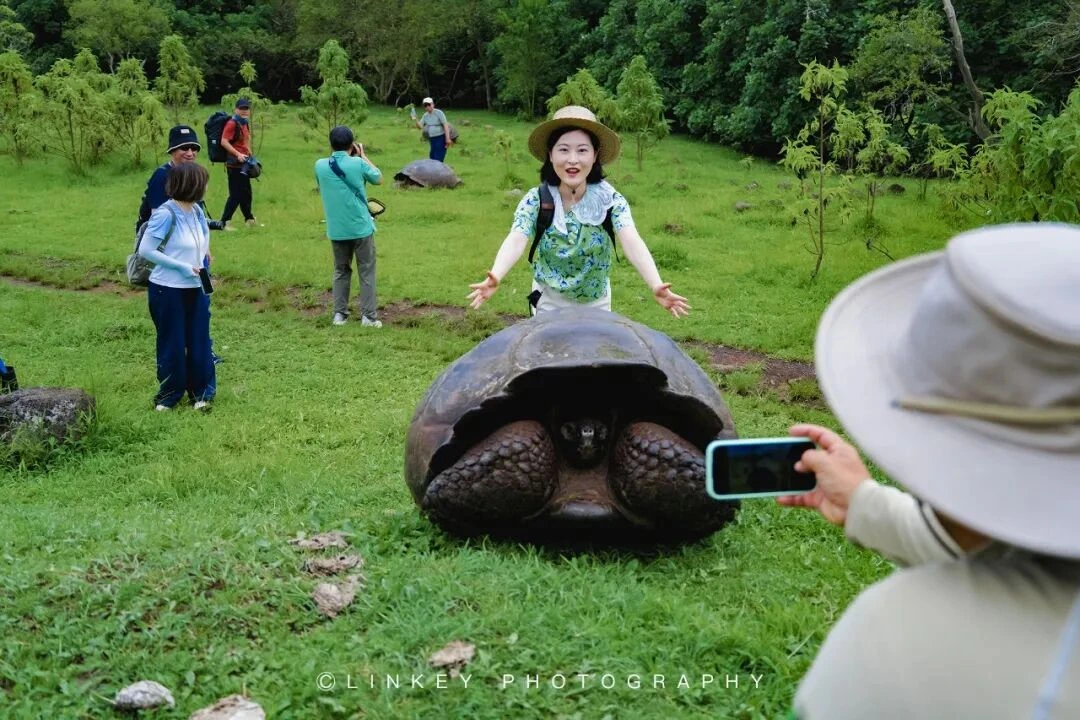 加拉帕戈斯旅行影像 13