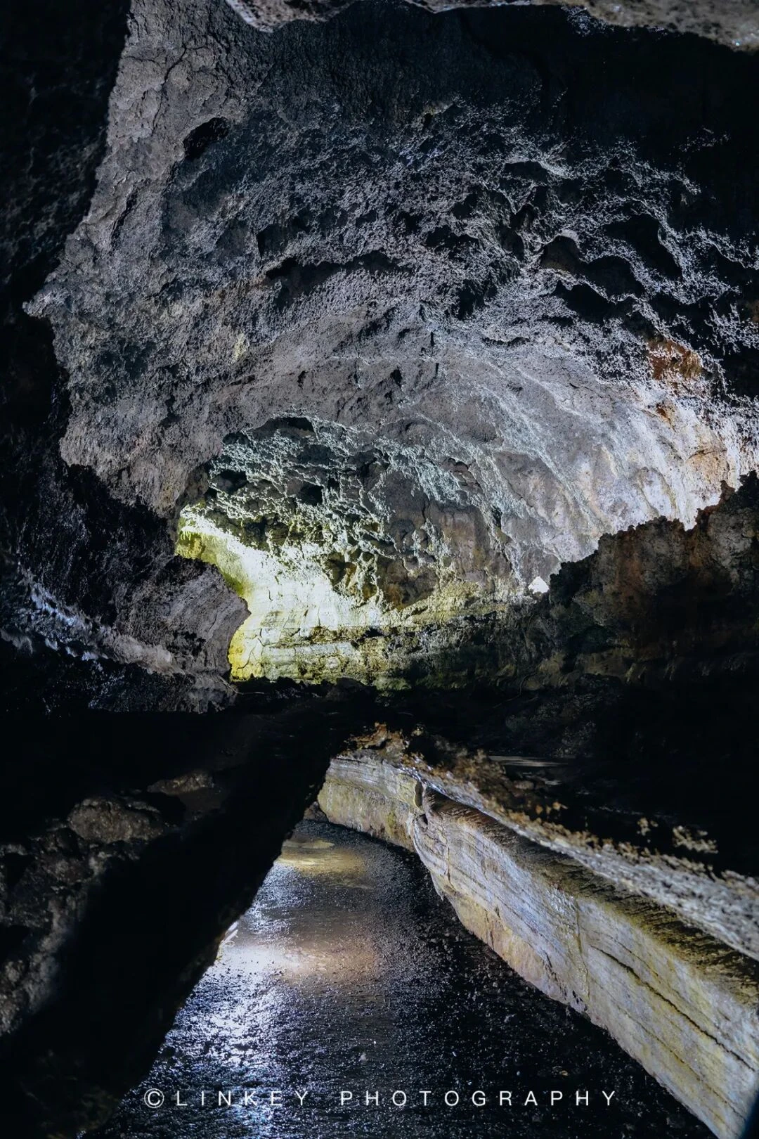 加拉帕戈斯旅行影像 17